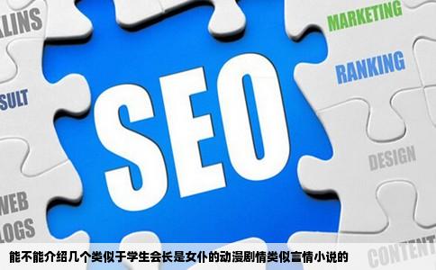 能不能介绍几个类似于学生会长是女仆的动漫剧情类似言情小说的