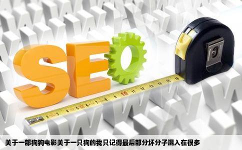 关于一部狗狗电影关于一只狗的我只记得最后部分坏分子混入在很多